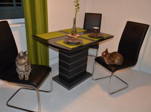 Вот она моя гордость! 01