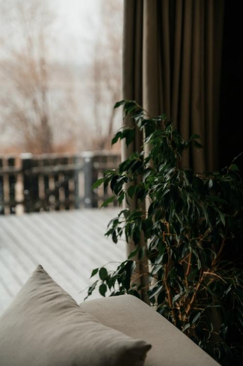 Первый пушистый снег именно с таким видом из окна встретила. 06