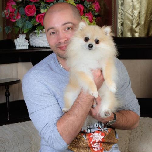 Как сэкономить на ремонте: лайфхаки от звезд дома-2. 03