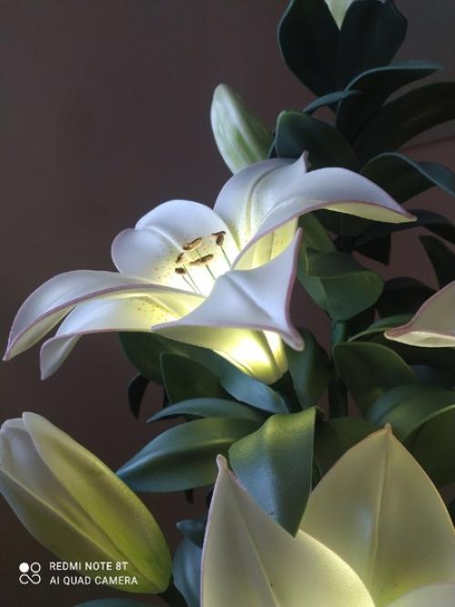 Ещё одна светящаяся лилия в моей мастерской расцвела. 02