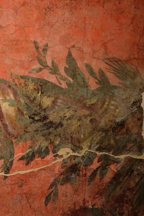 История фресок из виллы Публия фанния синистра (боскореале). 04 История фресок из виллы Публия фанния синистра (боскореале). 04