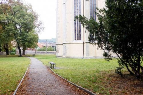 Куда пошел возлюбленный твой? 02