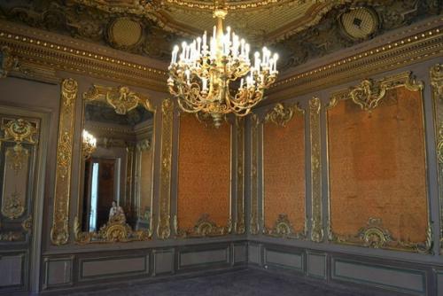 Лучшие экскурсии по петербургским особнякам и дворцам (афиша на декабрь - январь 2016). 01