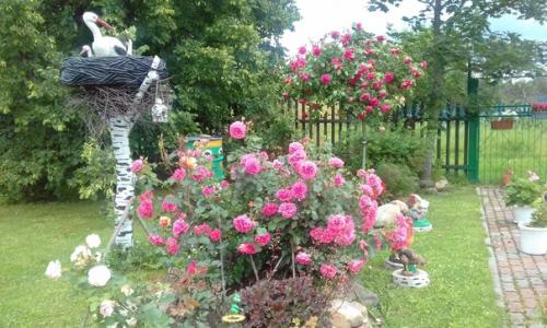 Свой загородный дом чета смирняковых строила 10 лет, воплотив мечту в жизнь своими руками. 03