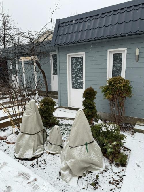 На даче. До сих пор не убрали сервировку стола. 03 На даче. До сих пор не убрали сервировку стола. 03