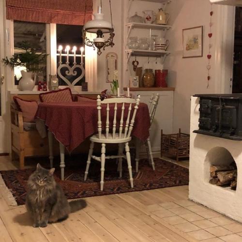 Мною недавно открытый блог с чудным домом Villalerdal. 05