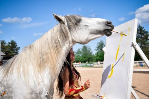 Порадуйте себя в год лошади картиной нарисованной лошадью. 01 Порадуйте себя в год лошади картиной нарисованной лошадью. 01