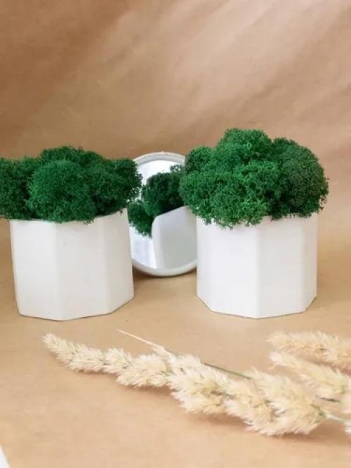 Кашпо для суккулентов и кактусов из гипса. 01