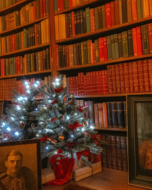 Со всеми новогодними и миграционными хлопотами я совсем выпала из интернета пространства. 04