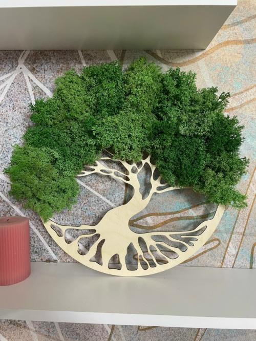 Создавая панно из можжевельника всегда думала о том, что могу сделать для украшения стены дома (квартиры).
