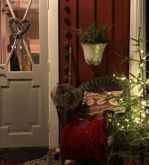 Мною недавно открытый блог с чудным домом Villalerdal. 08