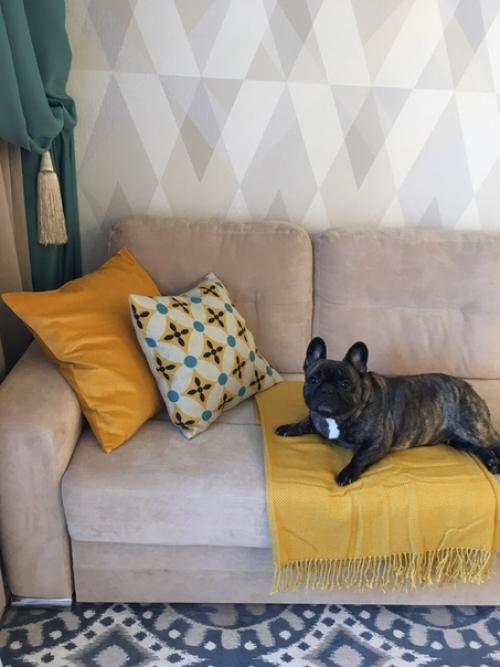 Совместили кухню с гостиной (18 кв. 03