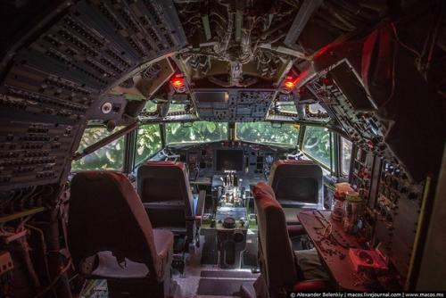 Настоящий выживальщик!  Отшельник в списанном самолете посреди леса живет. 02