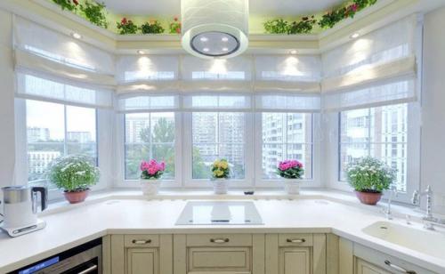 Такой разный подоконник. 05