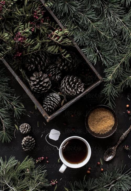 Спoкойнoго и домaшнего вaм вoскресенья! 03