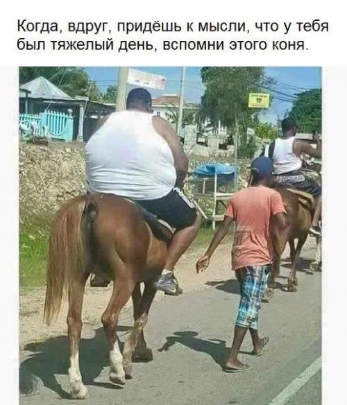 Ежедневная рубрика: шутка дня! 06