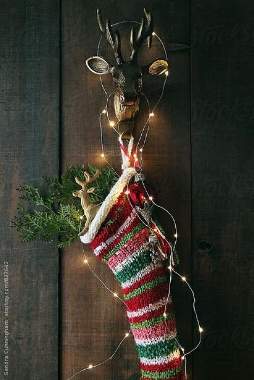 Спoкойнoго и домaшнего вaм вoскресенья! 01