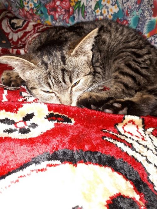 Этот пост не о геройстве или хвастовстве, этот пост - призыв к ответственности! 03