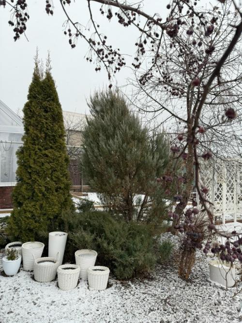 На даче. До сих пор не убрали сервировку стола. 08 На даче. До сих пор не убрали сервировку стола. 08