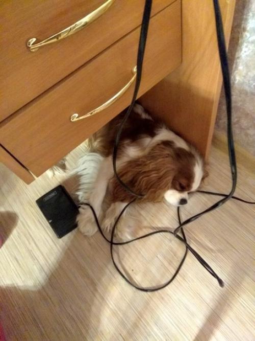 Создайте уют дома. 03 Создайте уют дома. 03