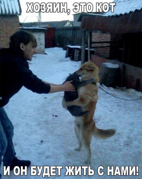 Ежедневная рубрика: шутка дня! 02