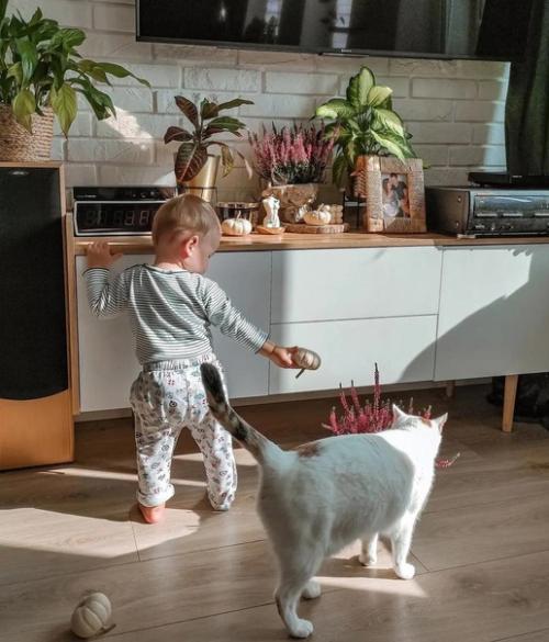 Уютный дизайн интерьера. 03