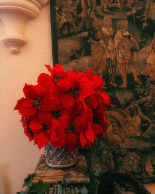 Со всеми новогодними и миграционными хлопотами я совсем выпала из интернета пространства. 03