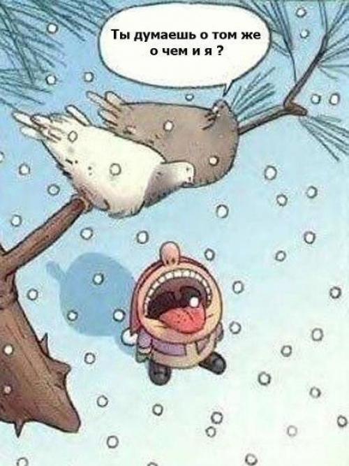 Ежедневная рубрика: шутка дня! 03