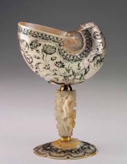 Творение природы с золотым сечением Nautilus Pompilius. 01