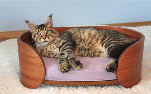 Бизнес - идея: производство мебели для домашних животных. 04