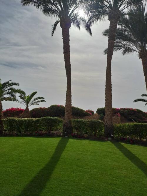 Наконец то дошли руки до написания поста про отель. 01