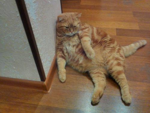 Отдохнём от склок.