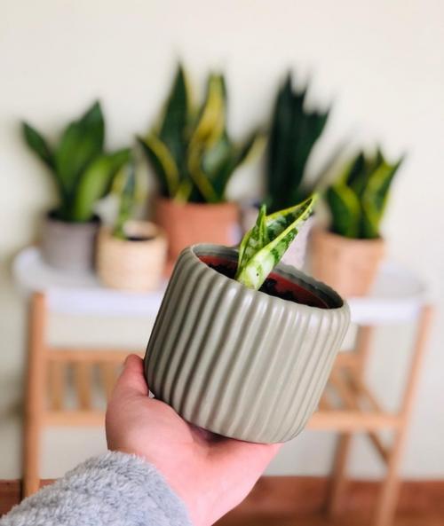 Выбирая одеяла, коврики, подушки и постельное белье для интерьера в стиле сканди, всегда выбирайте натуральные материалы. 04