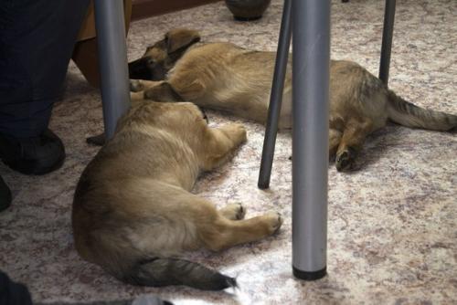 Ну вот мы и побывали в гостях у братьев зевса и тора. 04