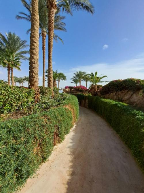 Наконец то дошли руки до написания поста про отель. 03