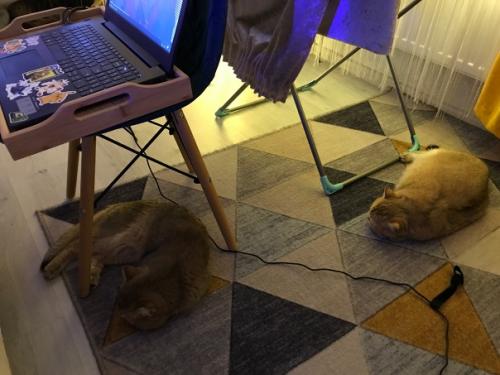 Всё своё ношу с собой. 01