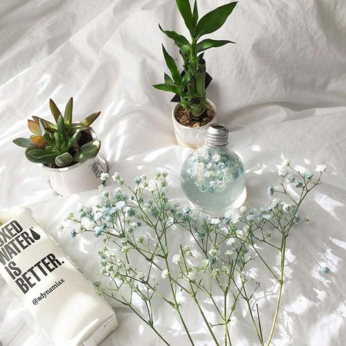 Как украсить комнату к весне? 02