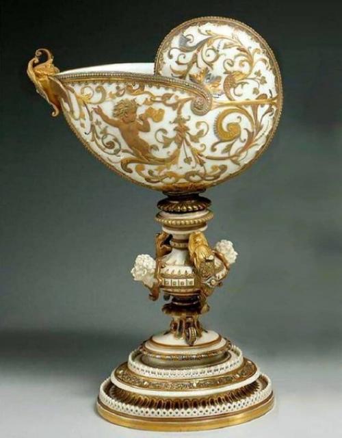 Творение природы с золотым сечением Nautilus Pompilius. 04