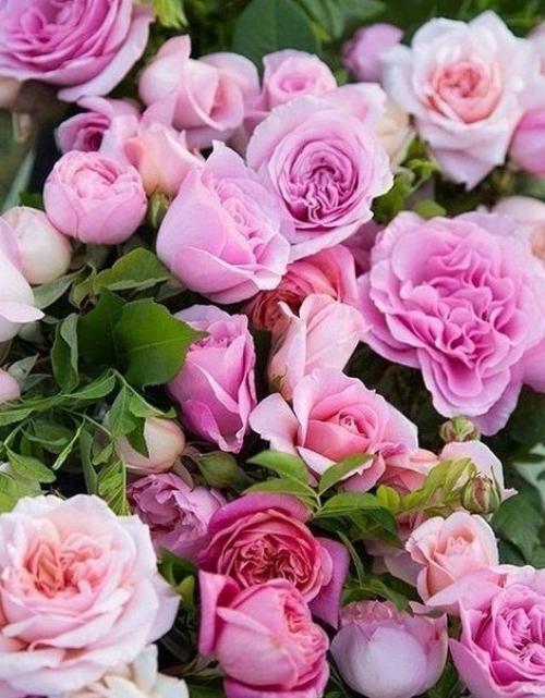 Счастье - это маленькие мгновения. 04