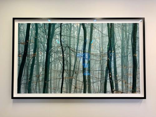 Я думаю, что не так часто музей современного искусства может быть расположен в здании офиса. 05