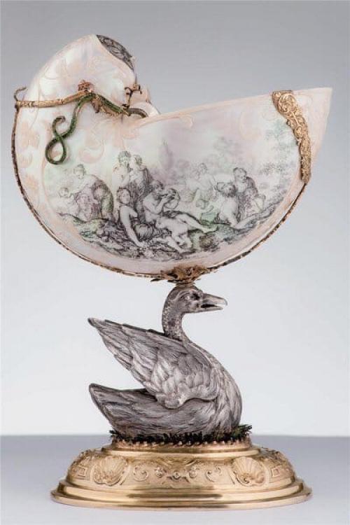 Творение природы с золотым сечением Nautilus Pompilius. 05