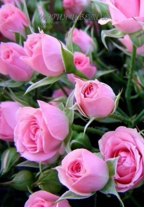 Счастье - это маленькие мгновения. 02