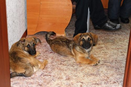 Ну вот мы и побывали в гостях у братьев зевса и тора. 03