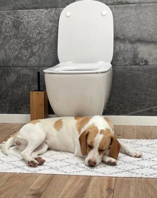 Дизайнер, о том, чего следует избегать в оформлении интерьера. 08