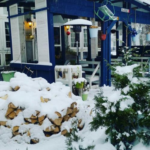 10 секретных уютных кафе во дворах и парках Петербурга. 02