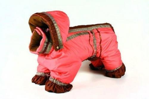 Комбинезон для собачки. 01