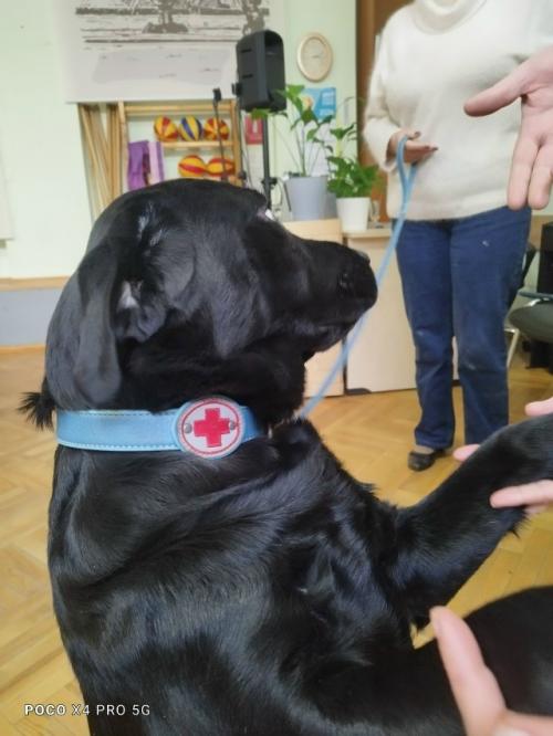 Субботний дайджест.   Мороз и солнце; день чудесный! 01