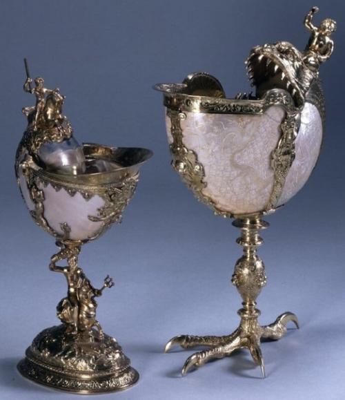 Творение природы с золотым сечением Nautilus Pompilius. 08