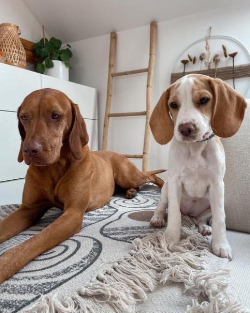 Домашний тур по мансардной квартире с красивой кухней с деревянными фасадами. 07