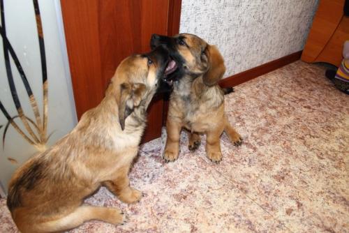 Ну вот мы и побывали в гостях у братьев зевса и тора. 01